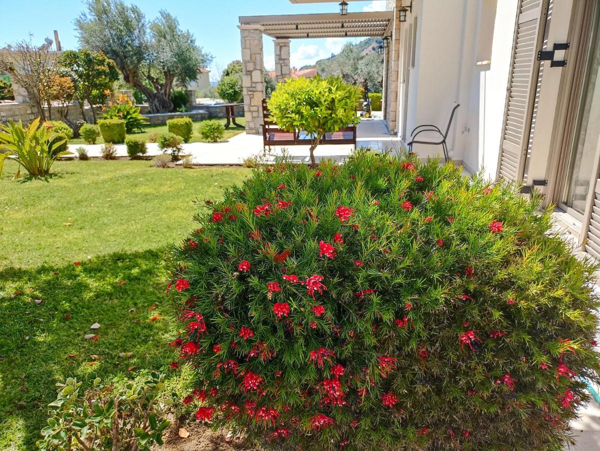Seaside Retreat House Villa Paralia Sergoulas ภายนอก รูปภาพ